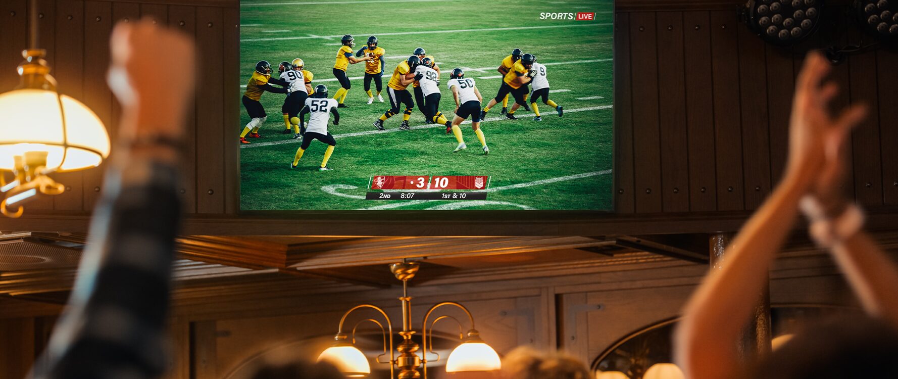 Beginners Guide to How Daily Fantasy Football Works